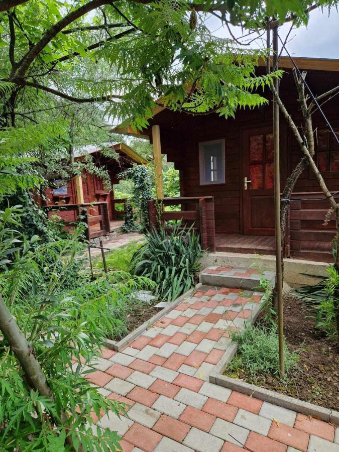 Casa Jan B. Hotel Lorau Kültér fotó